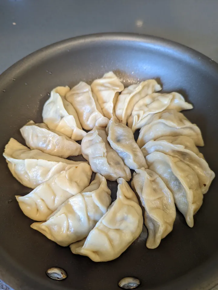 A pan with numerous gyoza dumplings, lightly browned and ready to be served in a cooking class setting.